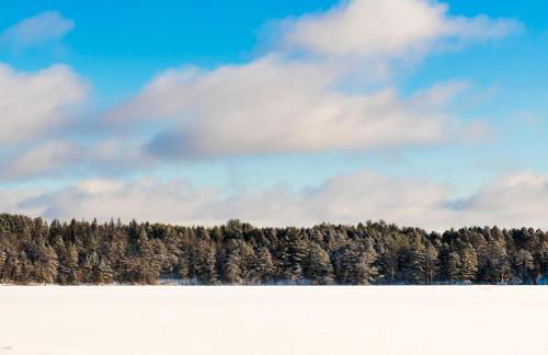 Porch in the Pines in Eagle River WI - Photo 42