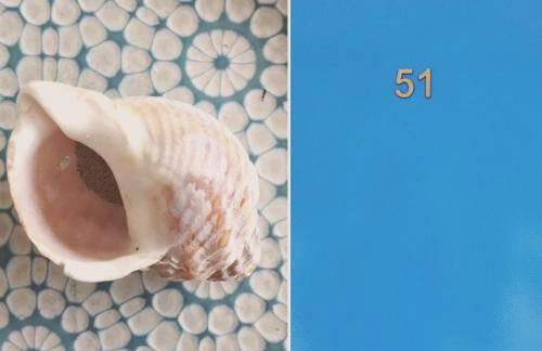 Le Bulot Bleu *Terrasse couverte *Parking *2 vélos - Foto 10