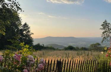Ancienne grange typique nichée au cœur du Cantal - Photo 31