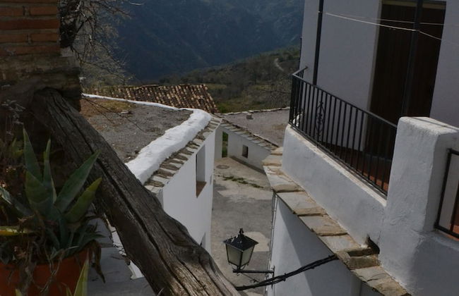 Castaño Real - Photo 20