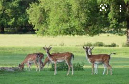 Villa on the Potomac 2BR Villa - Foto 22