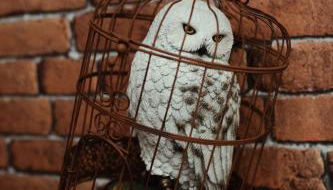 Harry Potter - Séjour magique à Poudlard - Foto 5