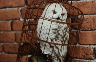 Harry Potter - Séjour magique à Poudlard - Foto 5