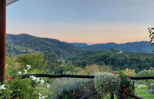 Agriturismo Le Noci - Foto 31