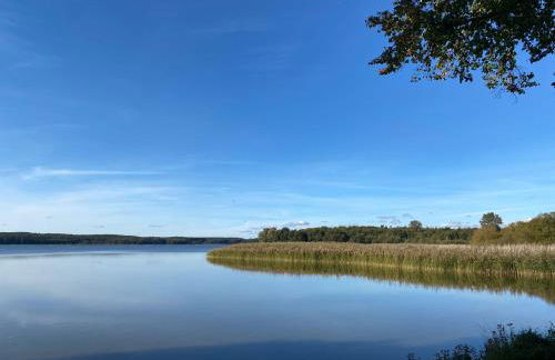Ferienhaus am Schilfweg mit Kanu - Foto 18