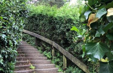 Ferienwohnung Kiefer - Ruheoase mitten im Grünen - Foto 14