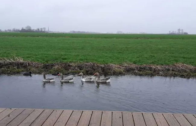Prive Jacuzzi, Cows, Dairyfarm, Relaxing, Sleeping - Foto 13
