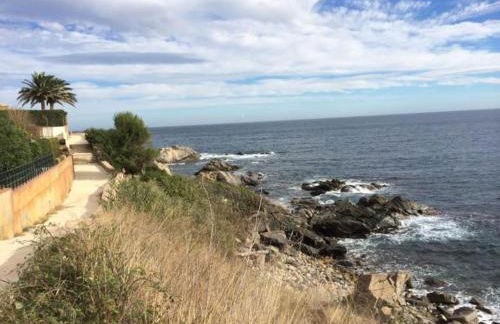 Wasela 312 - Foto 34