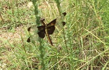 Fishers Of Men Ranch Home - Photo 56