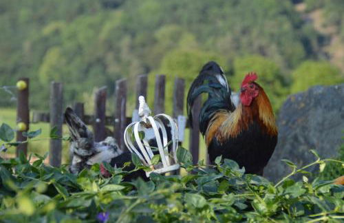 Kleine einzigartige Ferienwohnung auf dem Bauernhof, direkt in der Natur mit Blick auf Schloss Braunfels - Foto 37