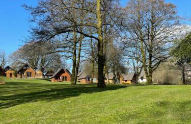 81 Hengar Manor - Foto 14