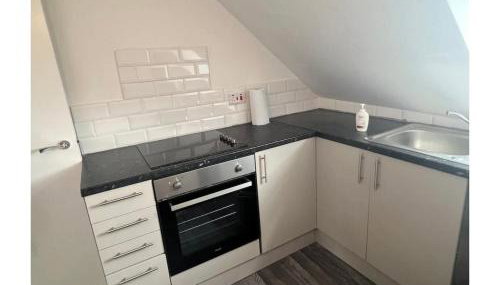 Beautiful flat in Selly oak - Foto 2