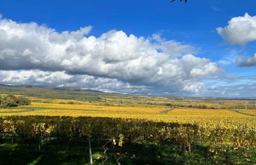 Haus Neugebauer-Gästehaus Garni - Foto 36