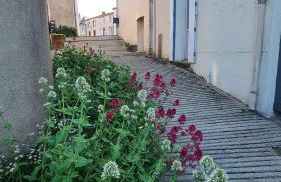 Le Bocage gîte 90m2 chaleureux à 4 min du Puy du Fou - Foto 38
