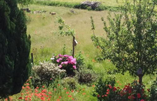 Apartment Schmetterling by Interhome - Foto 29