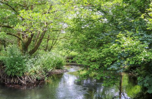 Skiber Long - Photo 40