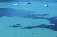 Villa Besuc Benissa Moraira 8 personnes - Foto 17