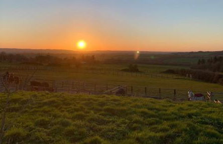 Dovecote Cotswold Cottages - Foto 58