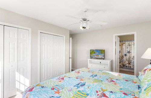 CAC-1 - Angelfish - Photo 22