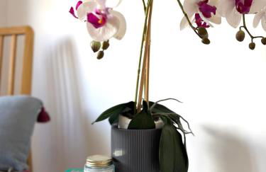 Casa Aurora - Photo 4