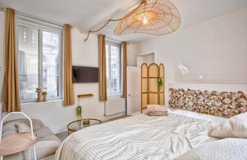 Le Saint-Sauveur - Balneotherapy Bathtub - Hypercentre - Foto 29