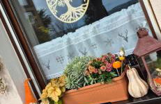 Green Home - Foto 13