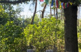 Ferienwohnung auf Pferdehof bei Neustadt - Foto 14