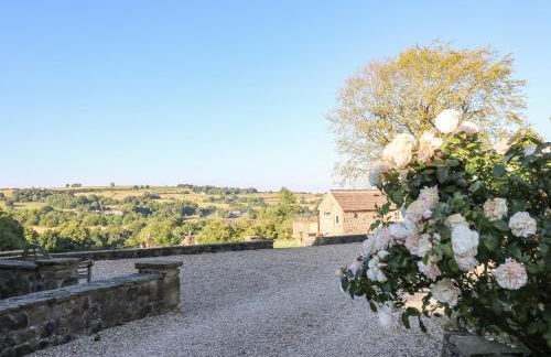 Cuckoo Nest - Foto 17