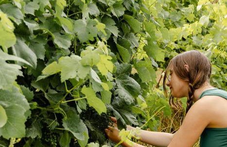 Casa das Nogueiras - Foto 71