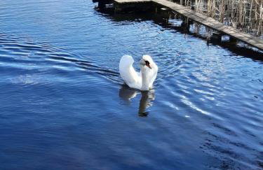 Domek całoroczny MAGJAN z sauną i jacuzzi na wyłączność - Foto 21