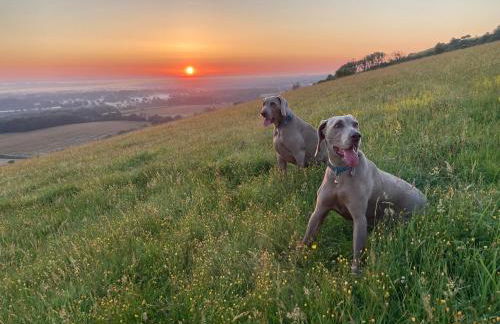 The Cabin, Roundabout Lane - Foto 44