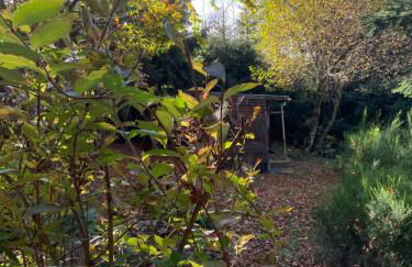 Chalet bois au calme, en lisière de forêt, balcons, sentiers balades Gérardmer & Alsace "Chalet Mon beau sapin" - Foto 64