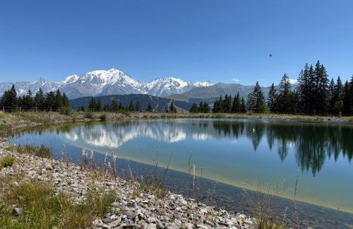 Appartement Soleil d'Or au cœur de Megève - Foto 45