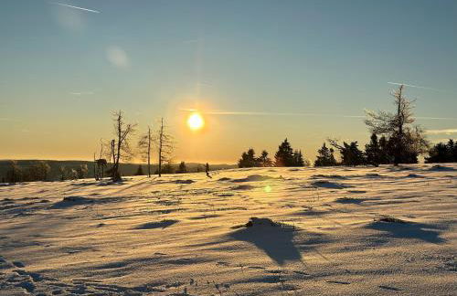 Ferienwohnung Sauerland an der Ruhr - Foto 41