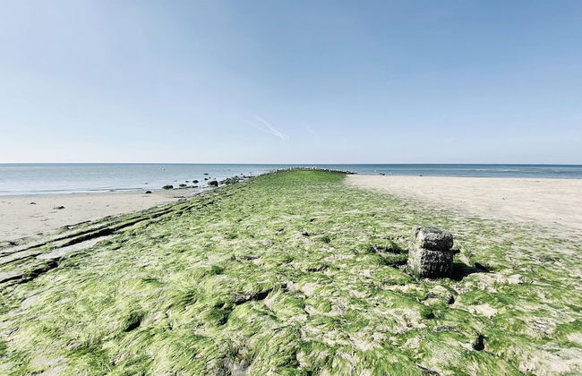 Holiday Home in Callantsoog With Garden - Photo 37