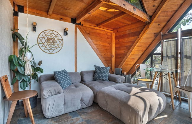 Bosque Geométrico - Foto 40