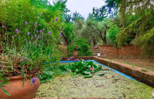 Italian Experience-Villa Rosso Corbezzolo - Foto 12