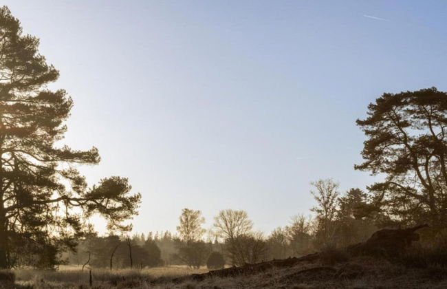 Bungalow met Omheinde Tuin op de Veluwe - Foto 35