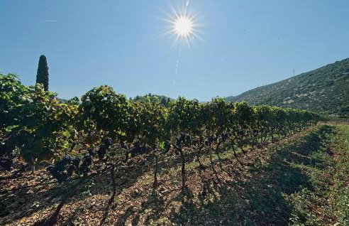 0-Bedroom Holiday Home In Postira - Photo 10