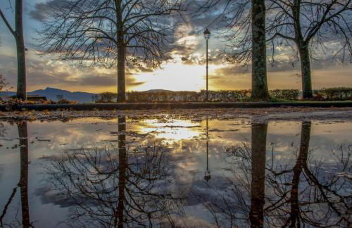 Guelfi6 Poppi - Foto 21