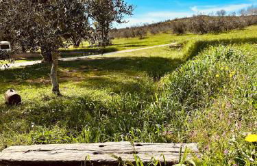 Agricampeggio La Piaggia - Agriturismo - Foto 27