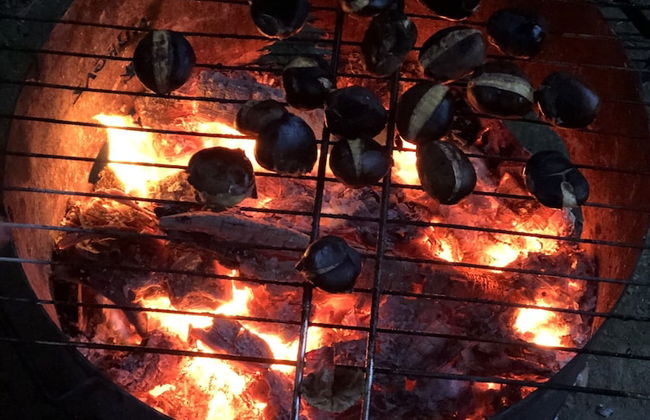 Sapanca Koy Evi - Foto 24