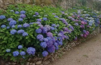 Quinta da Tapada - Foto 40