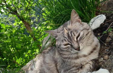 Schallerhof Sterzing - Deine Auszeit mit Ausblick in unseren Ferienwohnungen auf dem Bergbauernhof in Südtirol - Foto 27