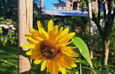 Casadesergio - Photo 55