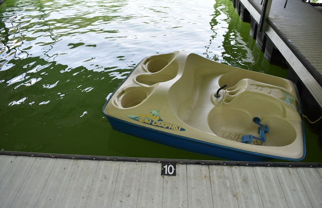 Tree Top Lodge - Gorgeous Lake Cabin With Hot Tub & Magnificent Views Of Forests And Mountains! 3 Bedroom Cabin by Redawning - Foto 40