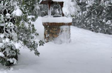 La Huerta de Chocolate Mínimo 2 años larga duración - Foto 10