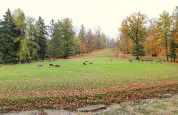 Egge Suite - Zentral in Klinik-&Kurparknähe - Foto 19