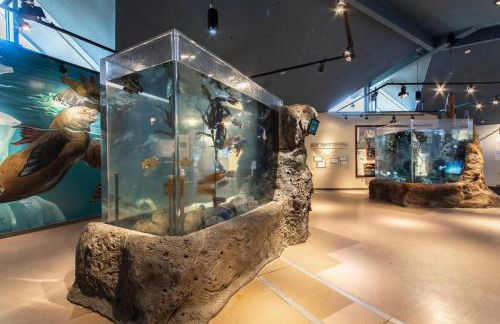 Newly Remodeled Family Friendly Ocean View - Foto 20