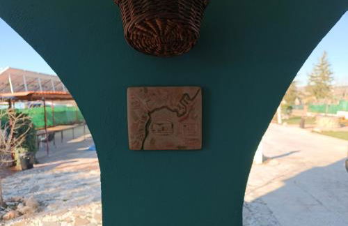 El puntazo del Tajo - Foto 13